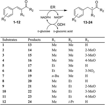 Stereoselectivity Switch in the Reduction of α-Alkyl-β-Arylenones by Structure-Guided Designed Variants of the Ene Reductase OYE1